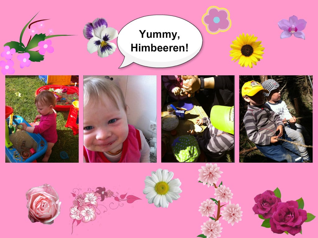 Himbeeren