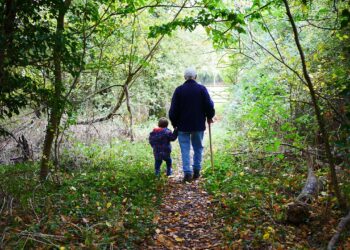 Grossvater geht mit Enkel durch den Wald