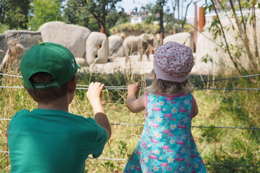 Kinder betrachten Elefanten im Zoo