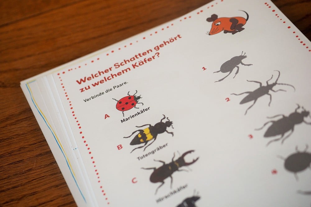 Frag doch mal die Maus Carlsen Verlag Ferien-Rätselblock
