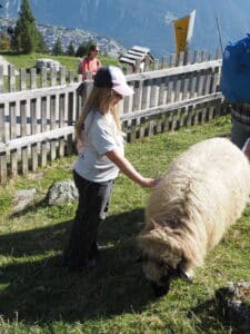 Kind mit Schaf auf der Möseralm im Streichelzoo